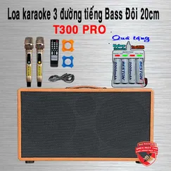 Loa karaoke xách tay bass đôi 2 tấc T300 Pro