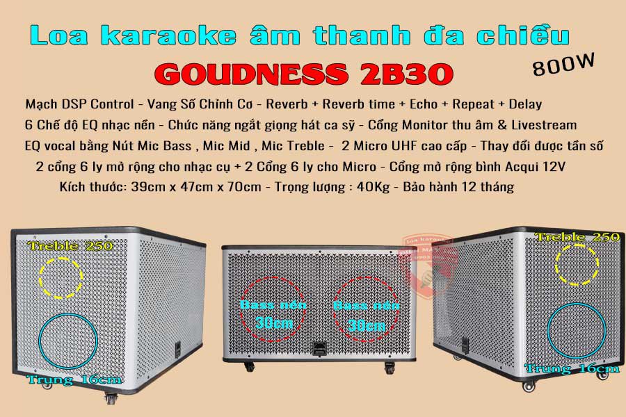 Loa karaoke đa chiều công suất lớn Goudness 2B30