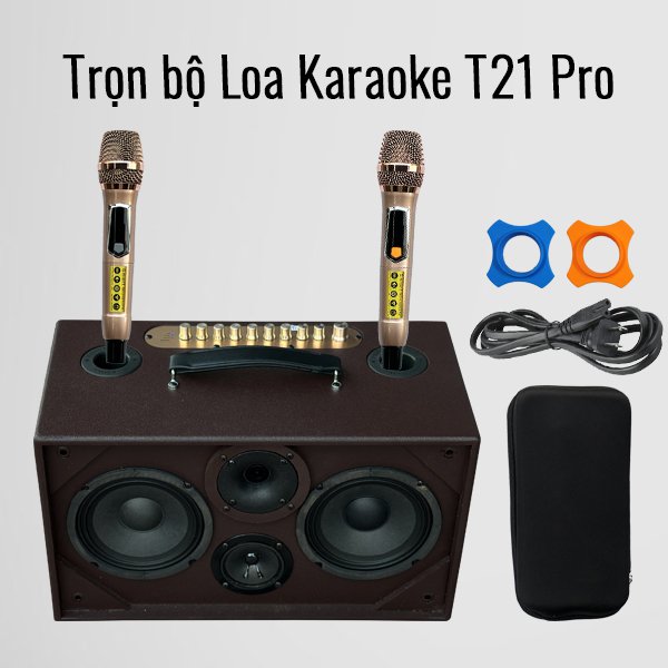Loa karaoke mini T21 giá rẻ hát hay