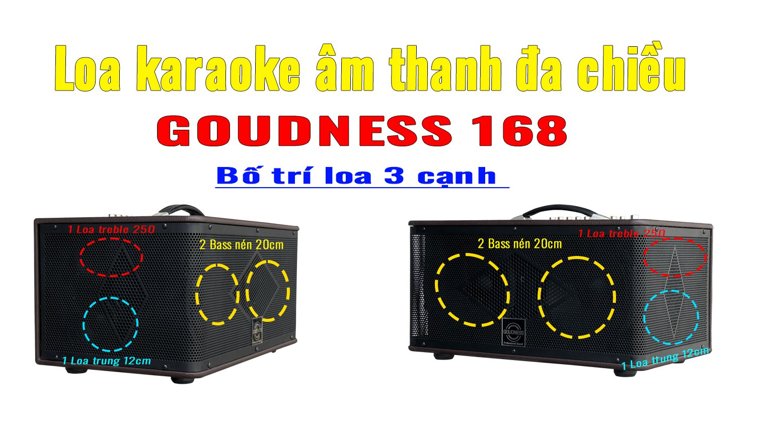 Loa karaoke xách tay công suất lớn Goudness 168