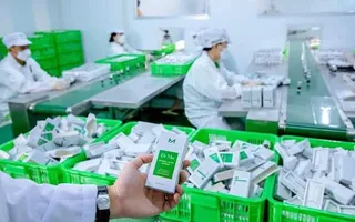Vì sao các bạn trẻ trị mụn hoài mãi mà không hết mụn, vừa trị mụn hết rồi, sau đó mụn lại lên tiếp và nhiều hơn?