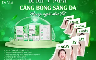 Meso Spicule ko kim - Vi Gai Tảo Biển 7 ngày căng bóng