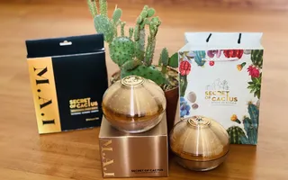 Combo 2 Body Xương Rồng Secrect of Cactus tặng 1 Set Tắm Trắng