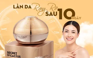 Body Xương Rồng Secrect of Cactus Date mới 2024