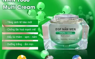 EFG Nấm Men cream NMN1000 (Full Size 25gram) - Kem dưỡng da ban đêm