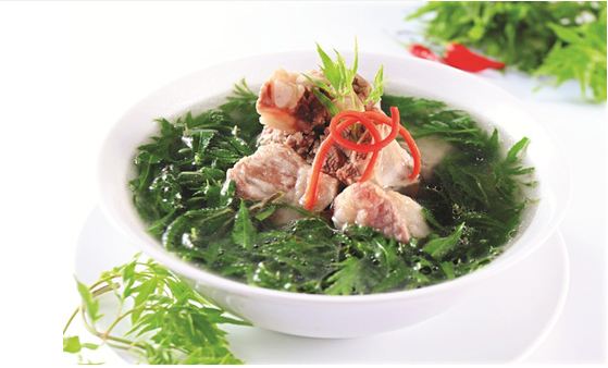 Cách chữa tắc tia sữa bằng lá đinh lăng