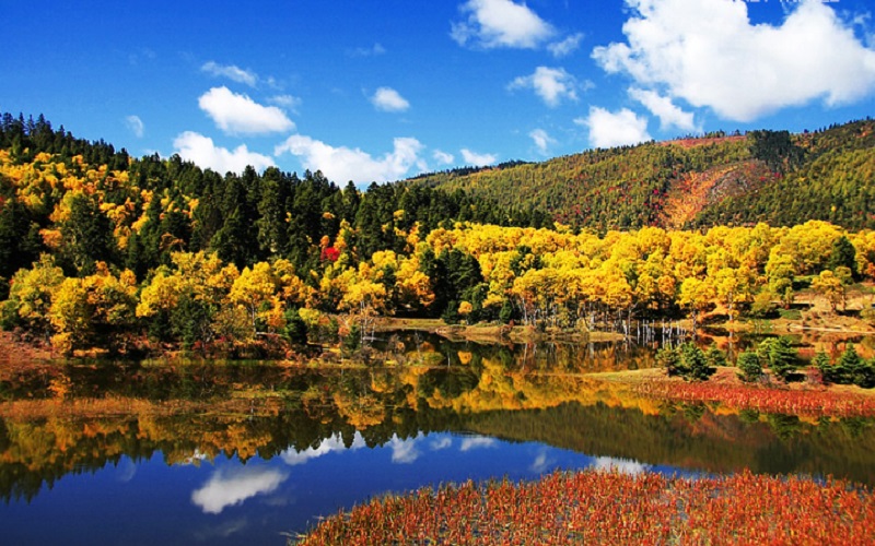 Khám phá bầu không khí mùa xuân ở Potatso khi đi du lịch Lệ Giang cổ trấn (Ảnh sưu tầm) Khám phá bầu không khí mùa xuân ở Potatso khi đi du lịch Lệ Giang cổ trấn (Ảnh sưu tầm)