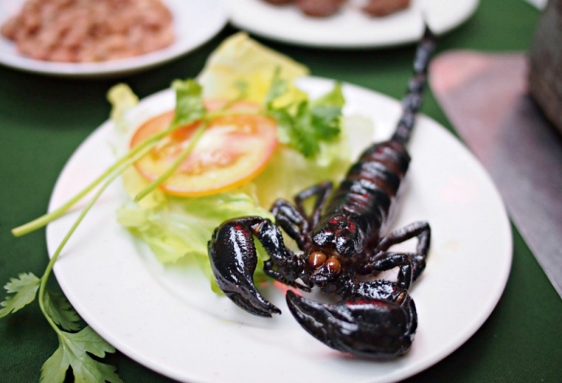 Bọ cạp rán giòn đặc biệt tại Bắc Kinh – du lịch Bắc Kinh có gì hay Bọ cạp rán giòn đặc biệt tại Bắc Kinh – du lịch Bắc Kinh có gì hay