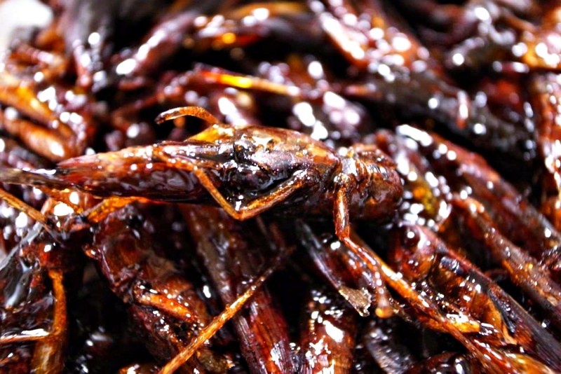 Châu chấu rán có hương vị tương tự với gà rán – du lịch Bắc Kinh có gì hay Châu chấu rán có hương vị tương tự với gà rán – du lịch Bắc Kinh có gì hay