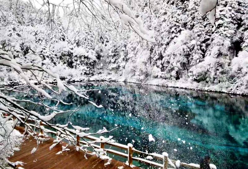 Chốn bồng lai tiên cảnh dễ dàng đốn gục du khách khi chọn lựa đi Cửu Trại Câu Chốn bồng lai tiên cảnh dễ dàng đốn gục du khách khi chọn lựa đi Cửu Trại Câu