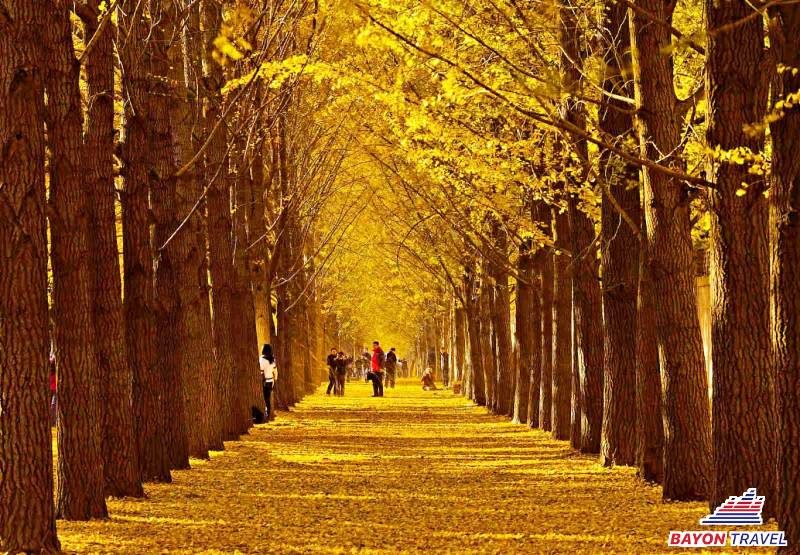 Đại lộ Diaoyutai, Trung Quốc Đại lộ Diaoyutai, Trung Quốc