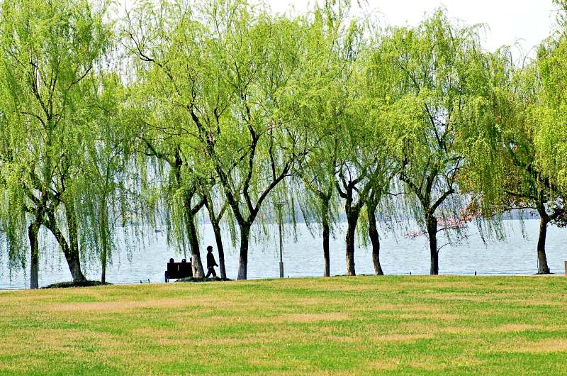 Hồ Tây thanh bình – Du lịch Hàng Châu Thượng Hải Hồ Tây thanh bình – Du lịch Hàng Châu Thượng Hải