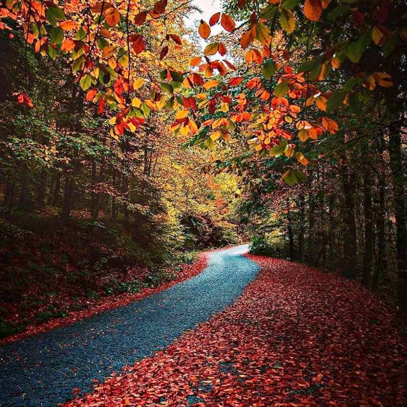 Mỗi một cung đường đều để lại dấu ấn đặc biệt - du lịch Cửu Trại Câu Mỗi một cung đường đều để lại dấu ấn đặc biệt - du lịch Cửu Trại Câu