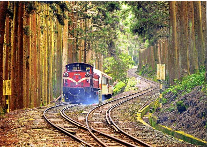 Ngồi trên chuyến tàu xuyên rừng là trải nghiệm thú vị nhất khi du lịch Alishan Đài Loan Ngồi trên chuyến tàu xuyên rừng là trải nghiệm thú vị nhất khi du lịch Alishan Đài Loan