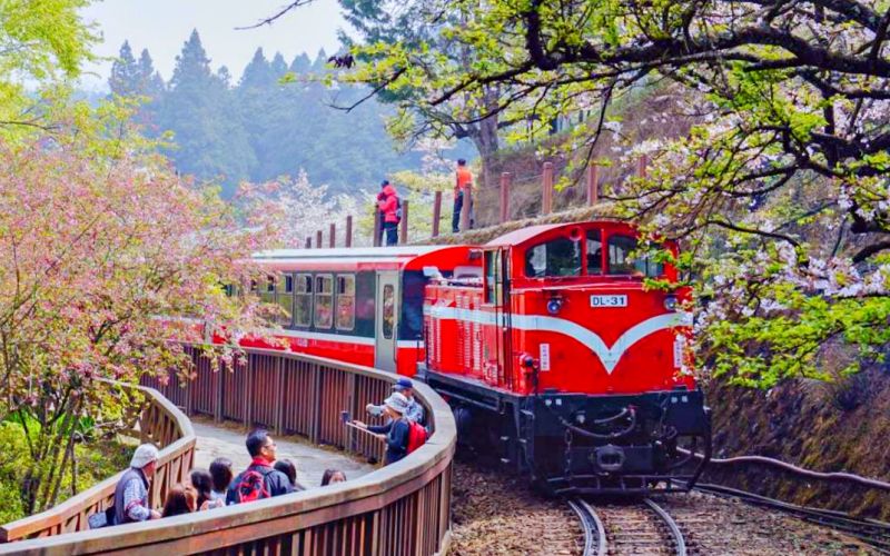 Hãy trải nghiệm tuyến đường sắt xuyên rừng đẹp bậc nhất thế giới khi du lịch Đài Loan - Alishan nhé Hãy trải nghiệm tuyến đường sắt xuyên rừng đẹp bậc nhất thế giới khi du lịch Đài Loan - Alishan nhé