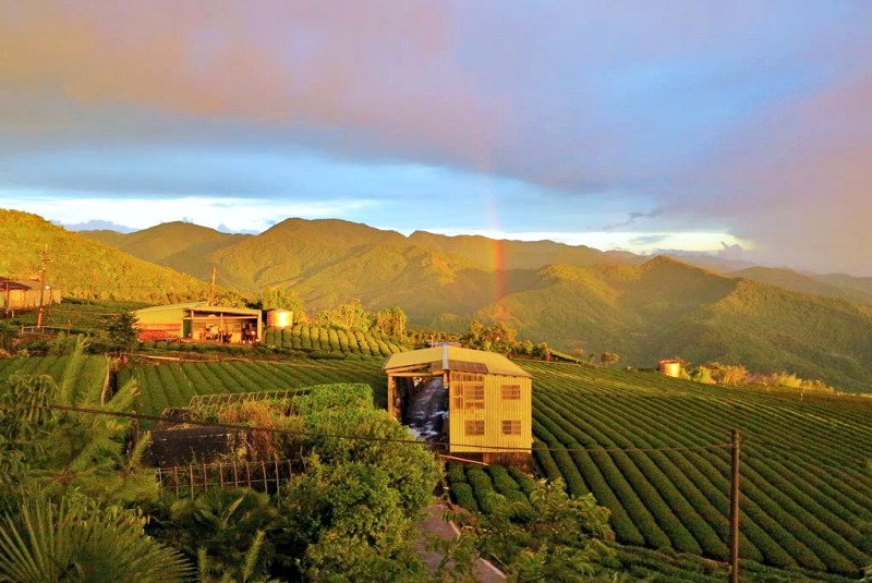 Du lịch Đài Loan Alishan: Alishan B&B YunMinGi được bao bọc bởi các đồi chè đầy thơ mộng Du lịch Đài Loan Alishan: Alishan B&B YunMinGi được bao bọc bởi các đồi chè đầy thơ mộng