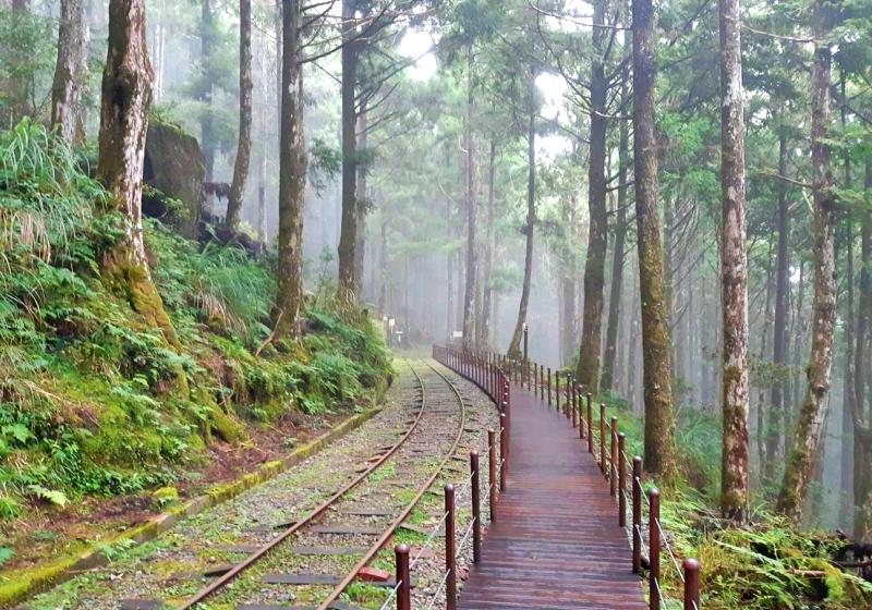 Núi Taipingshan rất thích hợp cho những bạn đam mê thử thách khi du lịch Đài Loan đấy Núi Taipingshan rất thích hợp cho những bạn đam mê thử thách khi du lịch Đài Loan đấy