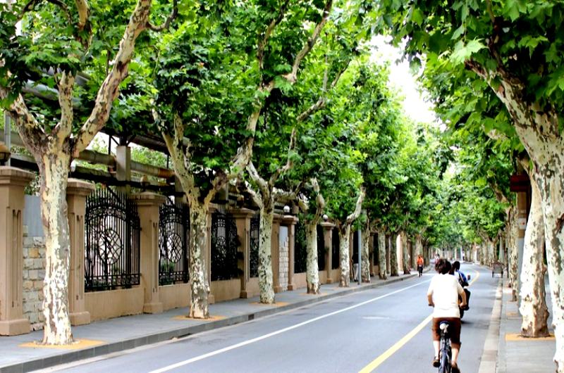 Du lịch Hàng Châu Thượng Hải: Một tuyến đường của khu tô Pháp giới Thượng Hải Du lịch Hàng Châu Thượng Hải: Một tuyến đường của khu tô Pháp giới Thượng Hải