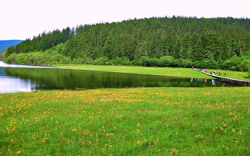 Hệ thực vật xanh ở Potaso khi du lịch Lệ giang cổ trấn mùa thu (Ảnh sưu tầm) Hệ thực vật xanh ở Potaso khi du lịch Lệ giang cổ trấn mùa thu (Ảnh sưu tầm)