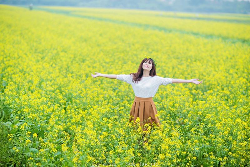 Thả hồn vào cánh hoa cải dầu rực rỡ là trải nghiệm độc đáo khi đi tour du lịch Phượng Hoàng Cổ Trấn mùa xuân (Ảnh: sưu tầm) Thả hồn vào cánh hoa cải dầu rực rỡ là trải nghiệm độc đáo khi đi tour du lịch Phượng Hoàng Cổ Trấn mùa xuân (Ảnh: sưu tầm)