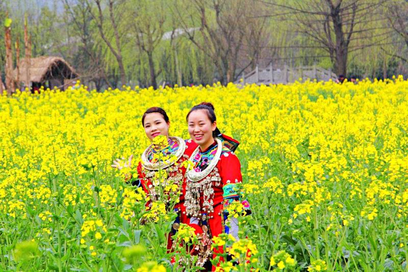 Tour du lịch Phượng Hoàng Cổ Trấn mùa xuân là thời điểm ngắm được hoa cải dầu đẹp nhất (Ảnh: Bayon Travel) Tour du lịch Phượng Hoàng Cổ Trấn mùa xuân là thời điểm ngắm được hoa cải dầu đẹp nhất (Ảnh: Bayon Travel)