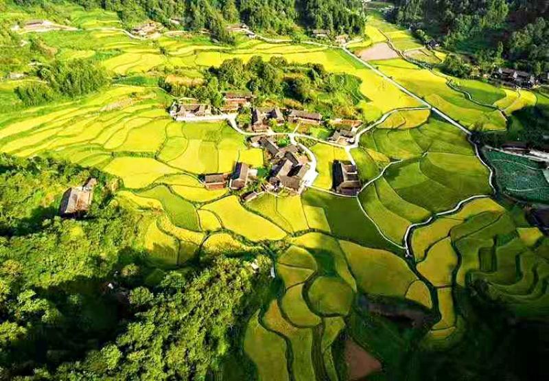 Tour du lịch Phượng Hoàng cổ trấn: Cánh đồng hoa cải dầu ở Phượng Hoàng Cổ Trấn mùa xuân nhìn từ trên cao (Ảnh: Bayon Travel) Tour du lịch Phượng Hoàng cổ trấn: Cánh đồng hoa cải dầu ở Phượng Hoàng Cổ Trấn mùa xuân nhìn từ trên cao (Ảnh: Bayon Travel)