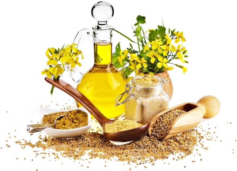 Tour du lịch Phượng Hoàng cổ trấn: Trước kia hoa cải dầu được trồng nhiều để lấy hạt làm dầu ăn (Ảnh: sưu tầm) Tour du lịch Phượng Hoàng cổ trấn: Trước kia hoa cải dầu được trồng nhiều để lấy hạt làm dầu ăn (Ảnh: sưu tầm)