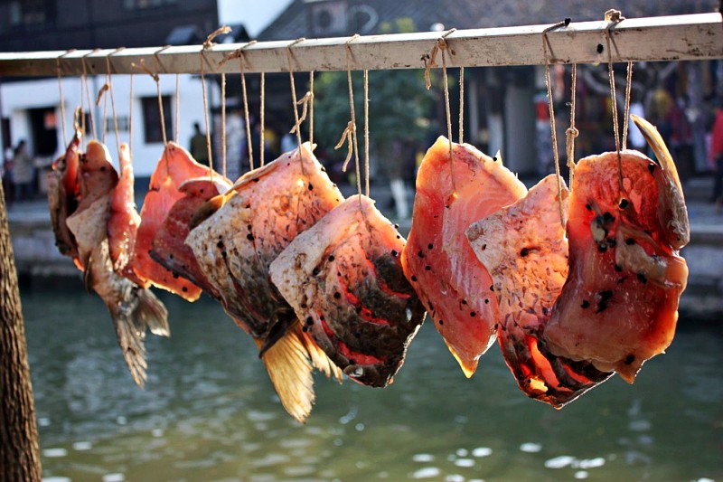 Cá được phơi khô trực tiếp dưới ánh nắng mặt trời Cá được phơi khô trực tiếp dưới ánh nắng mặt trời