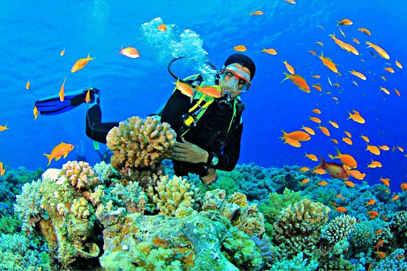Du lịch Đài Loan mùa hè: Trải nghiệm lặn ngắm san hô để thấy được vẻ đẹp phía bên dưới biển Du lịch Đài Loan mùa hè: Trải nghiệm lặn ngắm san hô để thấy được vẻ đẹp phía bên dưới biển