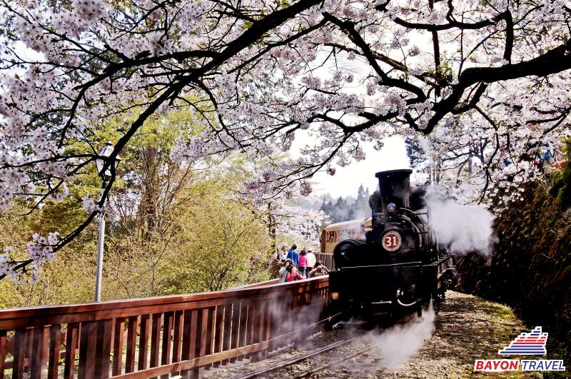 Du lịch Đài Loan Alishan: Viếng thăm chùa Shoujhen trên đường lên núi Alishan Du lịch Đài Loan Alishan: Viếng thăm chùa Shoujhen trên đường lên núi Alishan