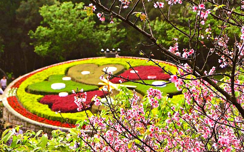 Du lịch Đài Loan mùa nào đẹp nhất Du lịch Đài Loan mùa nào đẹp nhất