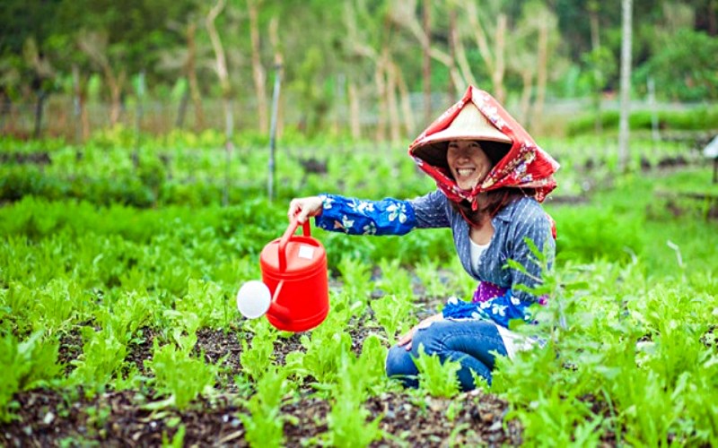 Du lịch Đài Loan nên đi những đâu khi bạn chưa thử một lần làm nông dân ở nông trường Yi Lan Du lịch Đài Loan nên đi những đâu khi bạn chưa thử một lần làm nông dân ở nông trường Yi Lan