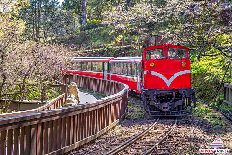 Du lịch Đài Loan Alishan: Du ngoạn cùng tuyến đường sắt cổ Alishan Du lịch Đài Loan Alishan: Du ngoạn cùng tuyến đường sắt cổ Alishan