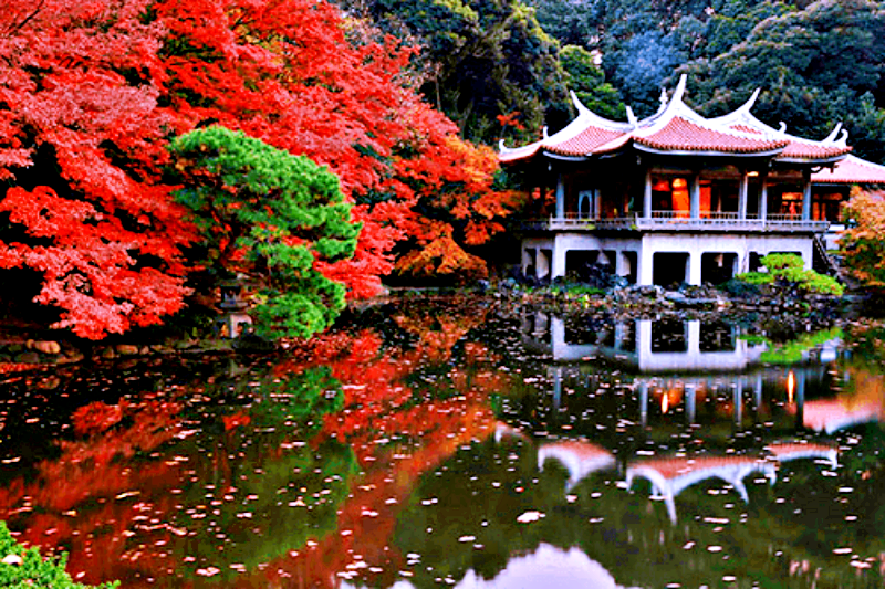 Du lịch Đài Loan mùa nào đẹp nhất Du lịch Đài Loan mùa nào đẹp nhất