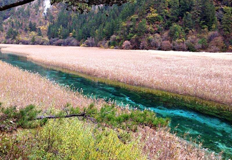 Hồ Lư Vi - du lịch Cửu Trại Câu Hồ Lư Vi - du lịch Cửu Trại Câu