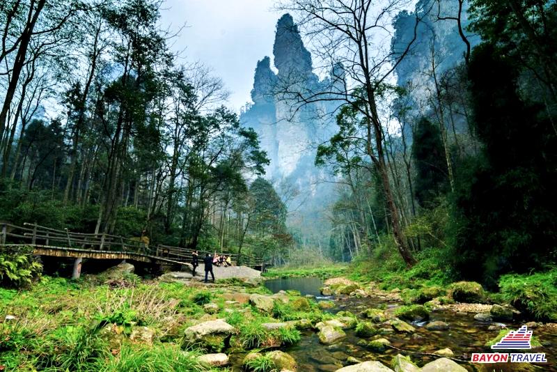 Kim Tiên Khê (Suối Roi Vàng) là một trong những thắng cảnh nổi tiếng nằm tại Vũ Lăng Nguyên Kim Tiên Khê (Suối Roi Vàng) là một trong những thắng cảnh nổi tiếng nằm tại Vũ Lăng Nguyên
