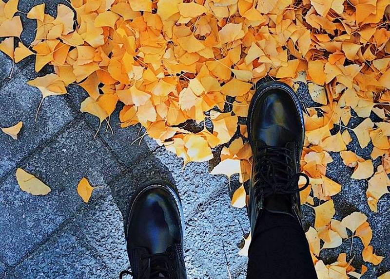 Kinh nghiệm chụp ảnh du lịch Bắc Kinh Thượng Hải mùa thu Kinh nghiệm chụp ảnh du lịch Bắc Kinh Thượng Hải mùa thu