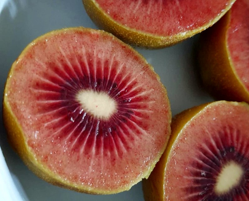 Kiwi ruột đỏ ở Phượng Hoàng Cổ Trấn khiến khách du lịch thích mê bởi độ thơm ngon Kiwi ruột đỏ ở Phượng Hoàng Cổ Trấn khiến khách du lịch thích mê bởi độ thơm ngon