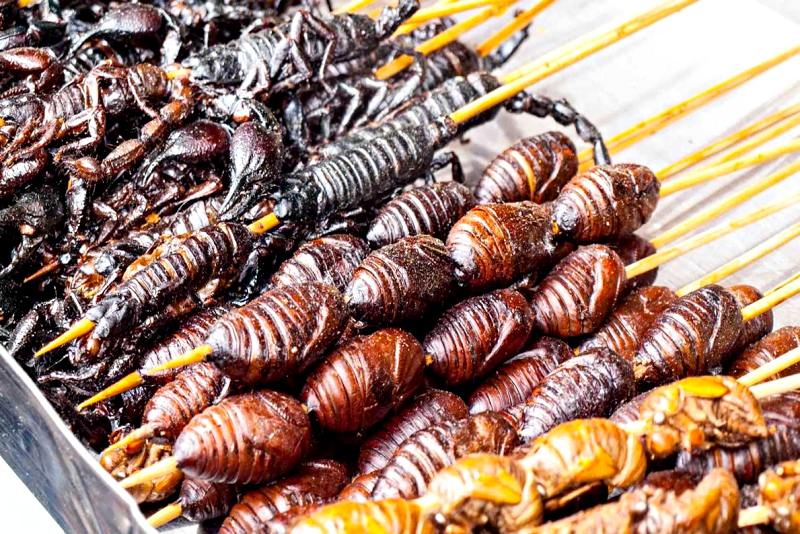 Nhộng chiên Bắc Kinh với hương vị hoàn hảo – du lịch Bắc Kinh có gì hay Nhộng chiên Bắc Kinh với hương vị hoàn hảo – du lịch Bắc Kinh có gì hay