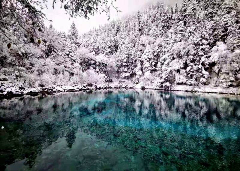 Sắc trắng bao phủ nhưng không hề làm lu mờ sắc xanh đặc trưng – Đi Cửu Trại Câu Sắc trắng bao phủ nhưng không hề làm lu mờ sắc xanh đặc trưng – Đi Cửu Trại Câu