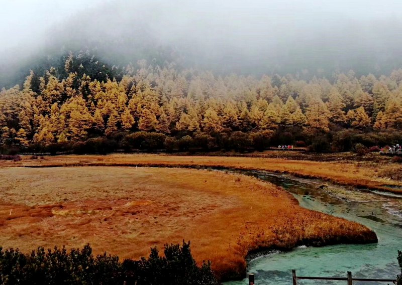 Thảm thực đa dạng tạo đa sắc thái cho Cửu Trại Câu – du lịch Cửu Trại Câu Thảm thực đa dạng tạo đa sắc thái cho Cửu Trại Câu – du lịch Cửu Trại Câu