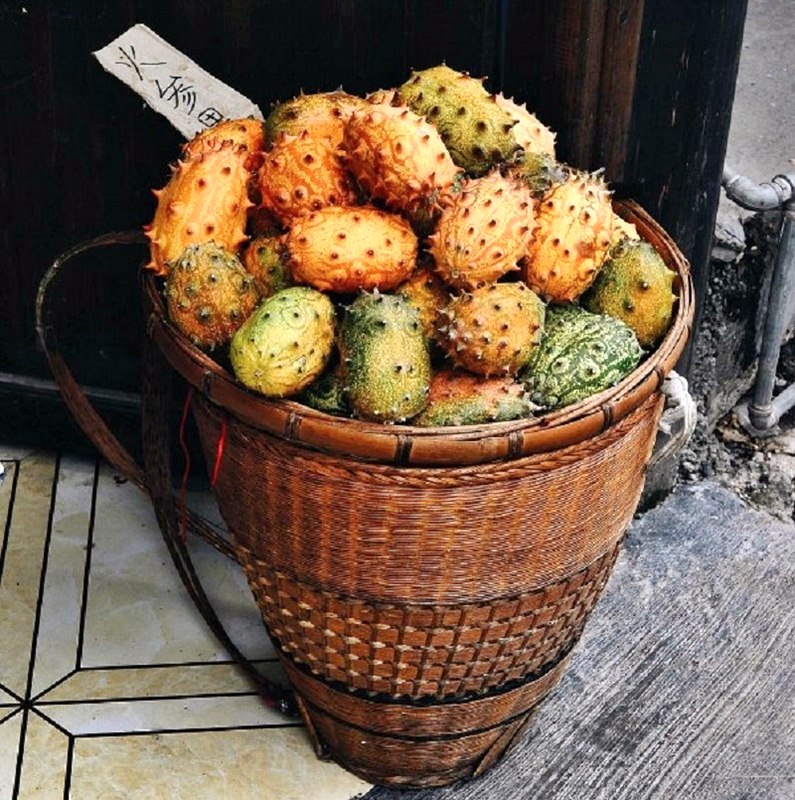 Thanh long gai vỏ vàng vô cùng độc đáo ở Phượng Hoàng Cổ Trấn rất thích hợp mua làm quà du lịch Thanh long gai vỏ vàng vô cùng độc đáo ở Phượng Hoàng Cổ Trấn rất thích hợp mua làm quà du lịch