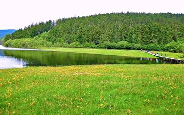 Du Lịch Khám Phá: Công Viên Mùa Thu Potaso Ở Trấn Cổ Lệ Giang