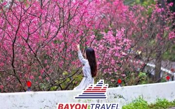 Gợi ý cho bạn nên du lịch Đài Loan nên đi vào tháng mấy? 