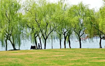 Điều gì đang thu hút du khách trong tour du lịch Hàng Châu Thượng Hải