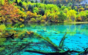 Du lịch Cửu Trại Câu chưa bao giờ ngừng hấp dẫn