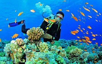 Du lịch Đài Loan vào mùa hè. Nên chăng?