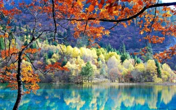 Đi Tìm Sắc Thu Mới Lạ tại khu du lịch Cửu Trại Câu