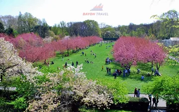 Khám phá du lịch Bắc Kinh vào mùa xuân