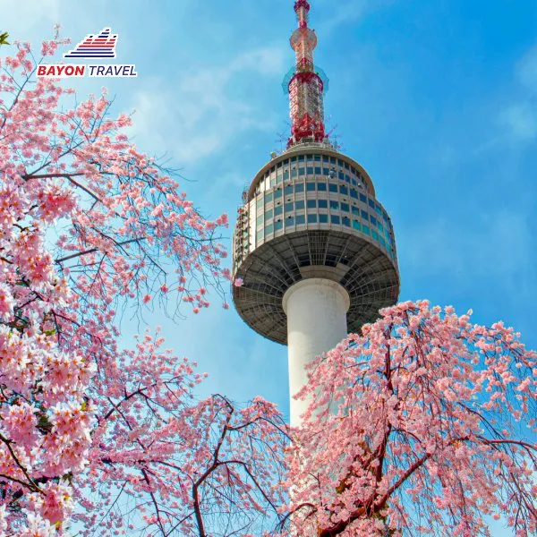[Mùa Hoa Đào] 5N4Đ Tour du lịch Hàn Quốc Seoul - Ara Waterway - Nami - Everland